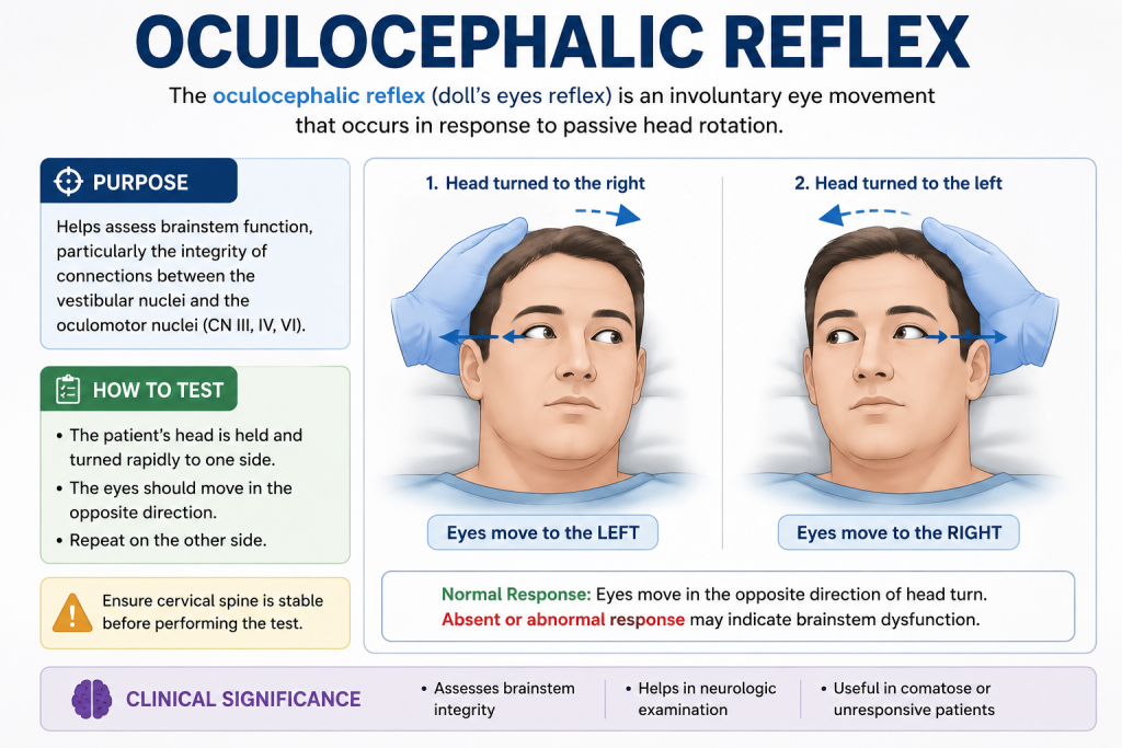 Oculocephalic Reflex (Doll’s Eye Reflex): 7 Key Facts Every Medical Student Should Know