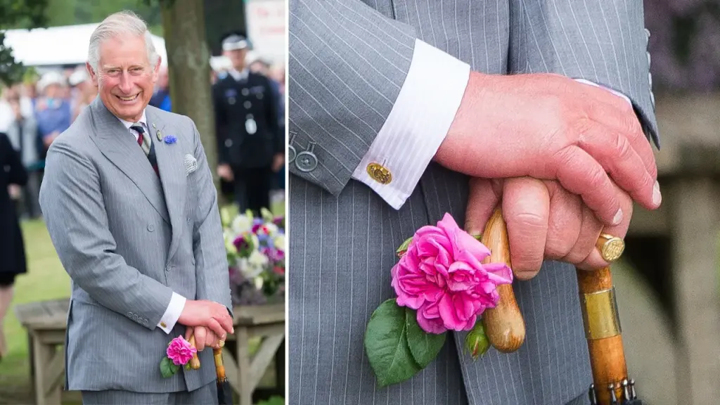 What’s Going On with King Charles Fingers? Facts vs Rumors